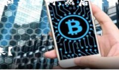 为了更好地回答您的问题