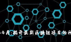 2023年4月：揭开最新区块链