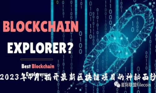 2023年4月：揭开最新区块链项目的神秘面纱