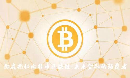 彻底揭秘比特币区块链：未来金融的颠覆者