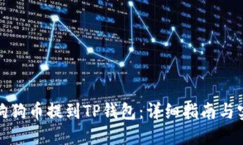 如何将狗狗币提到TP钱包：详细指南与实用技巧
