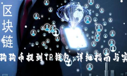 如何将狗狗币提到TP钱包：详细指南与实用技巧