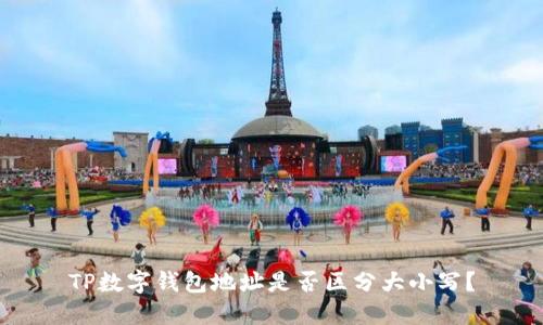 TP数字钱包地址是否区分大小写？