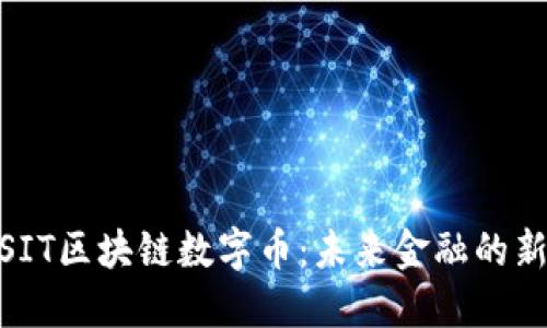 探索SIT区块链数字币：未来金融的新机遇