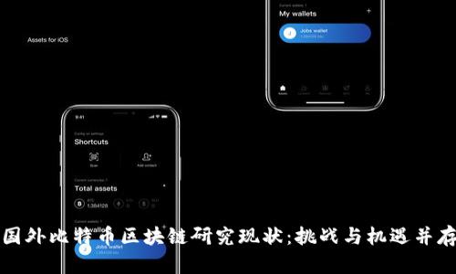 国外比特币区块链研究现状：挑战与机遇并存