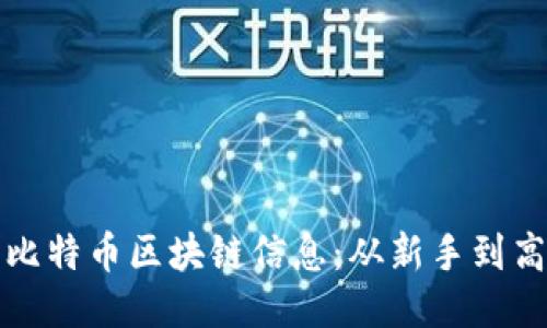 如何高效查询比特币区块链信息：从新手到高手的全面指南