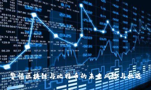 警惕区块链与比特币的未来风险与机遇