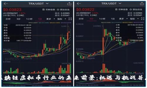 区块链虚拟币行业的未来前景：机遇与挑战并存